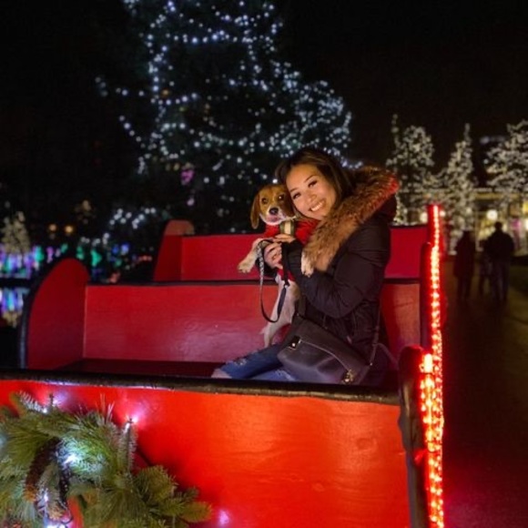 Meet your Posher, Jessica - Picture 1 of 1